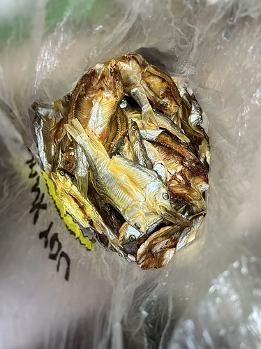 b302073522ed0d78aabfb434ee38400