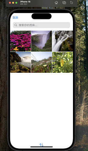 截屏2025-03-31 17.54.15