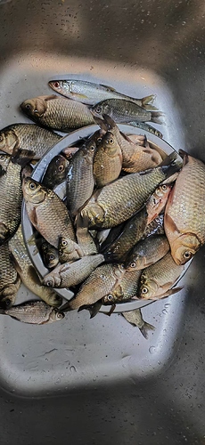 微信图片_20240913113629