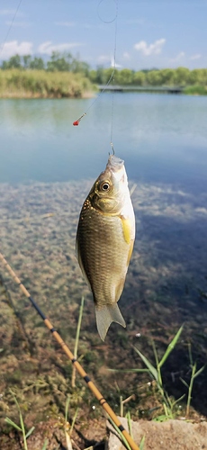 微信图片_20240913113613