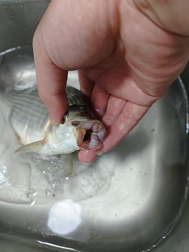 f9c71740567afc6ebd734d16eea8005