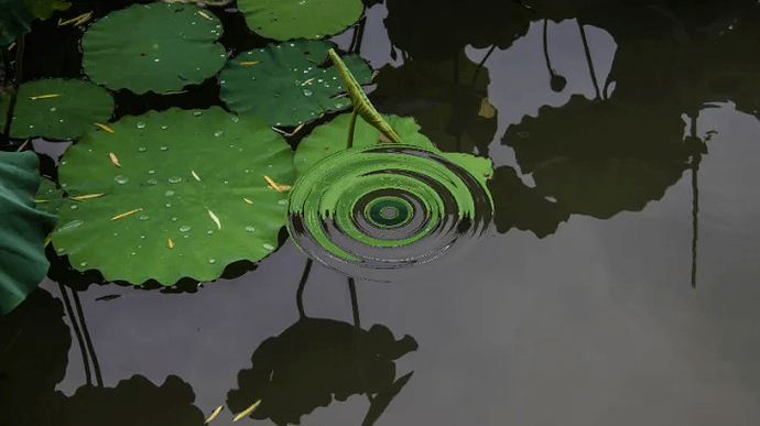 微信图片_20230213225519