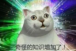 TGI%5_P{SBZBL96SEGAXSW