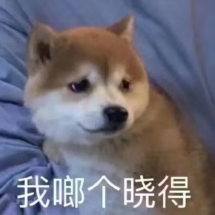 d035deff1d3d8fdf87d52ec0ccaae467